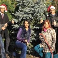 9 Tannen fürs Christkind