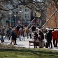 4. Bad Salzufler Service-Tag „Bad Salzuflen blüht auf“ am 5. April 2014