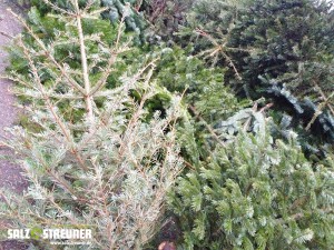 Ausgedient: Weihnachtsbaum 2014 Die Jugendfeuerwehr sammelt Weihnachtsbäume ein.