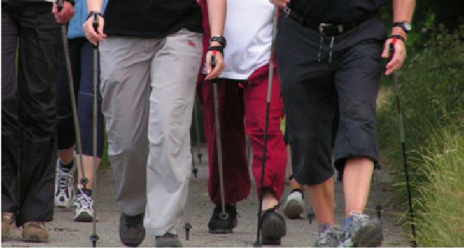 Yoga, Tai Chi, Qi Gong und Nordic-Walking