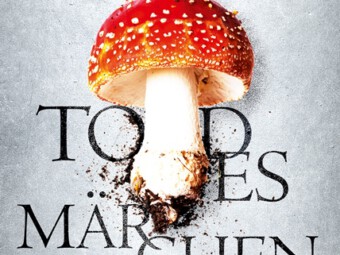 Buchcover Todesmärchen von Andreas Gruber