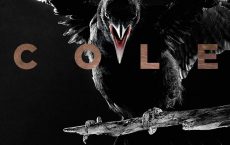 Buchtitel Ragdoll von Daniel Cole