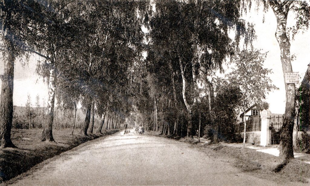 Foto Waldstraße um 1910