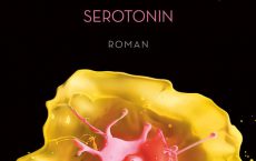 Serotonin von Michel Houellebecq Buchcover