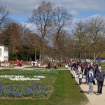 Blühende Blumen im Bad Salzufler Kurpark
