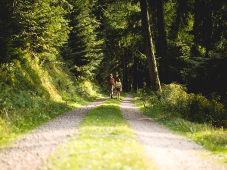 Wandern im Wald, Spazieren in der Natur