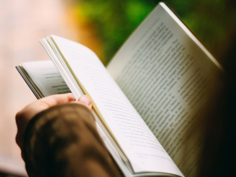 Buch lesen