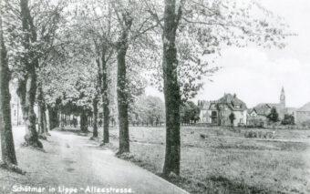 Foto Wischdamm zwischen Schötmar und Bad Salzuflen, 1920