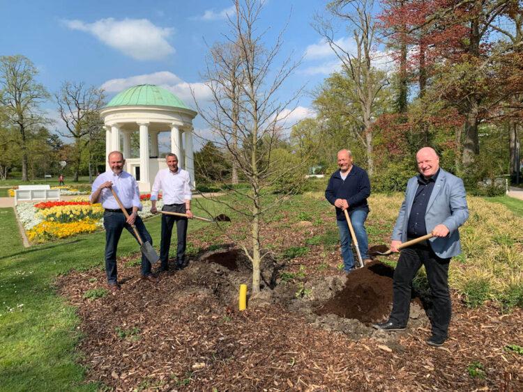 Baumpflanzung im Kurpark