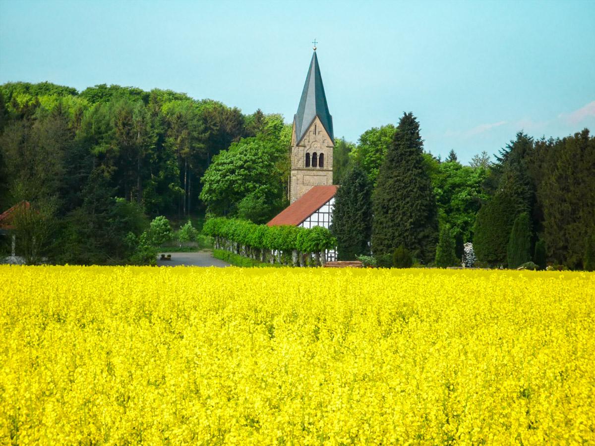 Musik für Spaziergänger