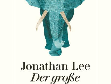 Buch: Der große Fehler von Jonathan Lee