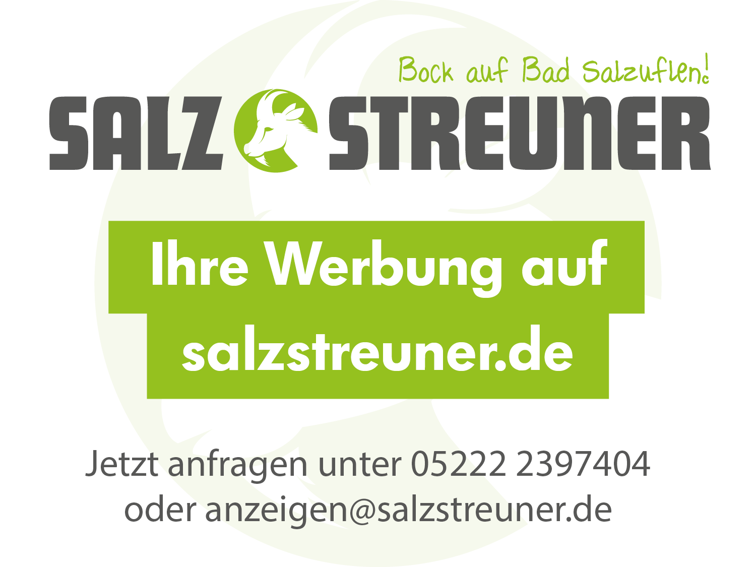Ihre Werbung auf salzstreuner.de