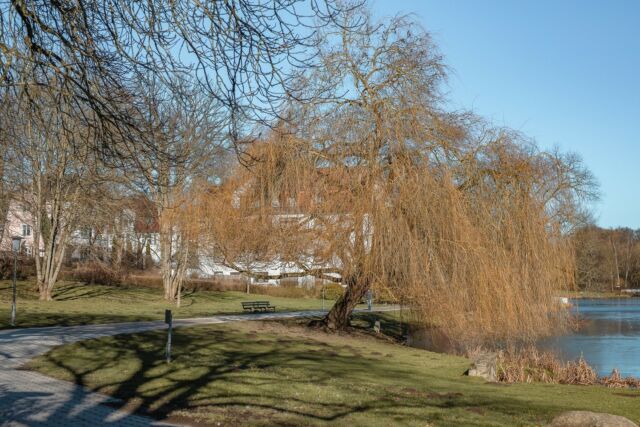 Links vom Kurparksee. 😉⁠
⁠
#badsalzuflen #kurpark #kurparksee #kurstadt #see #spaziergang #spazieren #wochenende #schöneswochenende #frühling #spring #springvibes #sunny #weekend #nature #photograpghy #naturephotography