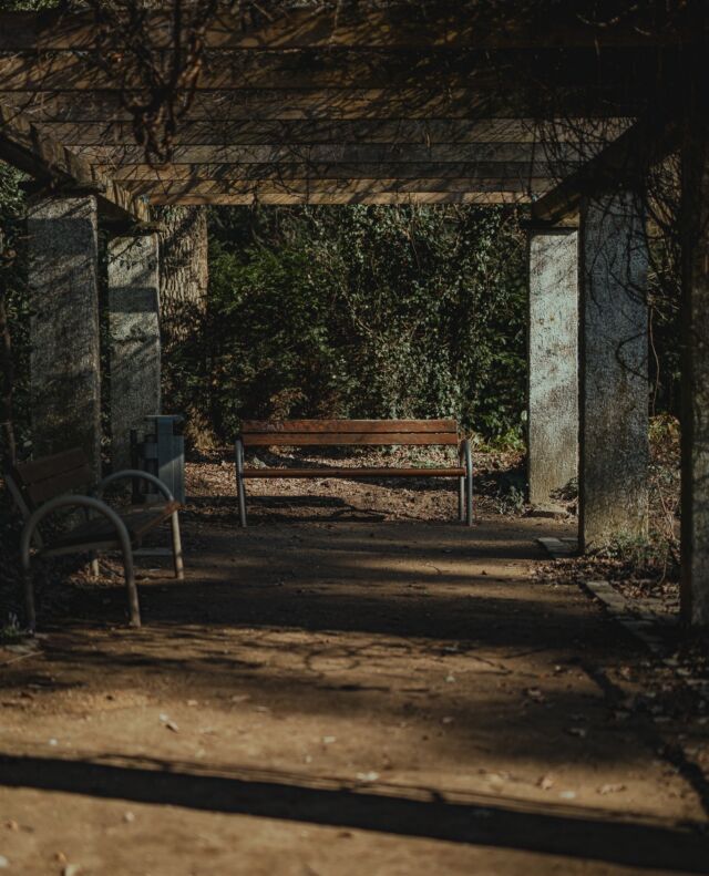 Offline-Banking. Hier lässt sich's aushalten. ☺️⁠
⁠
#badsalzuflen #schötmar #parkbank #streetphotography⁠ #urbanphotography #ostwestfalen #ostwestfalenlippe #springtime #springvibes #kurstadt #pause #photography ⁠
#streetphotographer #photographer #photooftheday #naturelover #ig_nature #schlossstietencron #stietencron