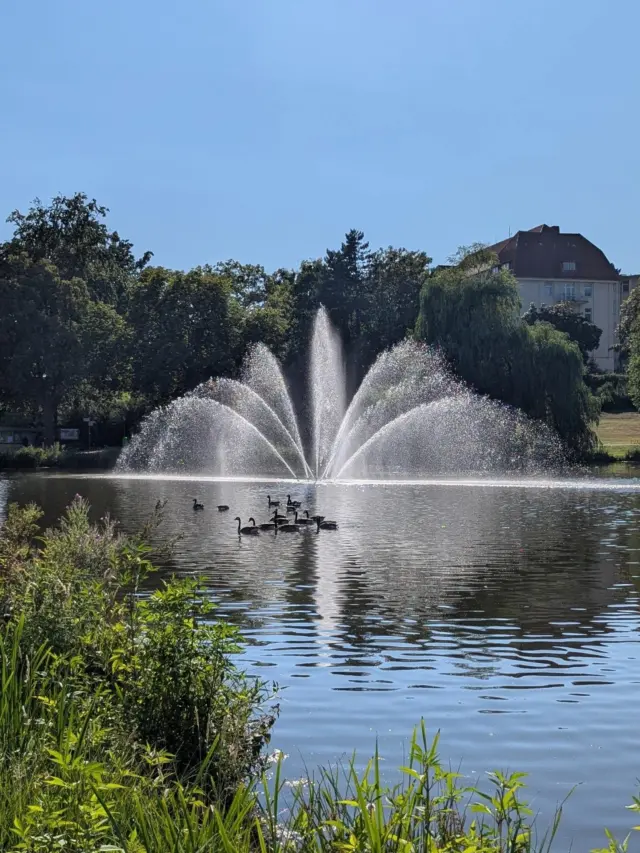 🦆☀️⛲

#badsalzuflen #kurparksee #badsalzuflenmeinestadt❤️ #kurstadt #enten