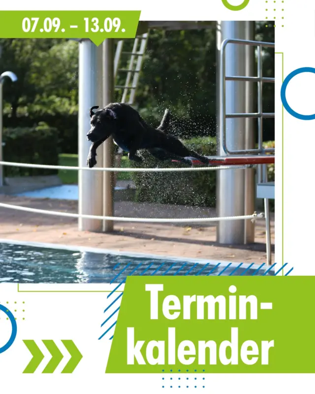Diese Woche: Spaziergang, Flohmarkt, Hundeschwimmen und Party.⁠
⁠
Foto: Stadtwerke Bad Salzuflen⁠
⁠
#badsalzuflen #flohmarkt #hundeschwimmen #begabad #herford